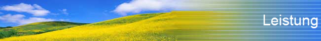 Leistung